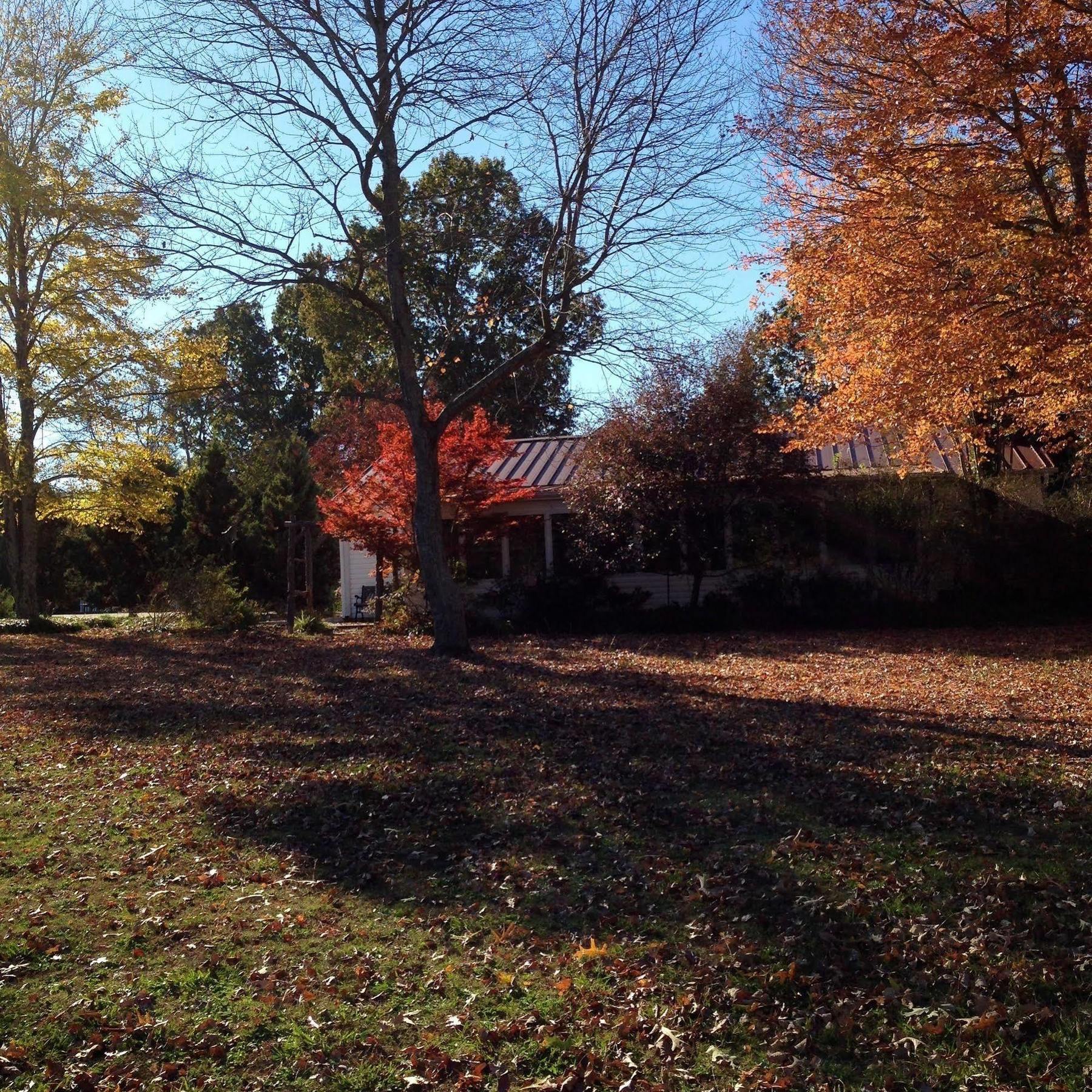 Meadow View Farm Bed & Breakfast Hernando Buitenkant foto